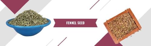 Fennel Seed