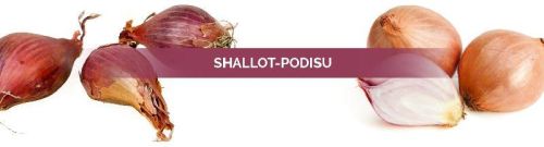 Red Shallot Podisu