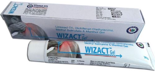 Wizact Pain Reliever Gel