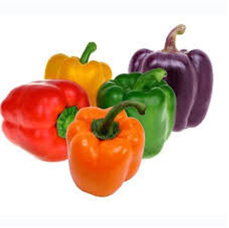 Processed Sweet Pepper, Packaging Size : 1-5kg