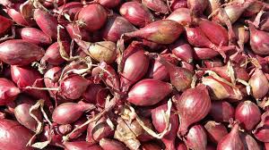 Organic Processed Shallots, For Cooking, Packaging Size : 1kg