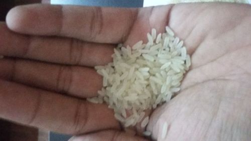 Common PARBOILED RICE 5% BROKEN, Certification : SGS