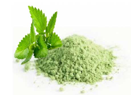 Mint(Pudina) Powder