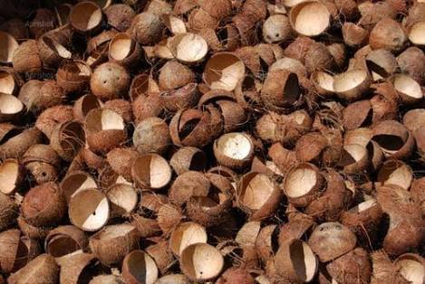 Coconut Shells, For Handicraft, Color : Brown