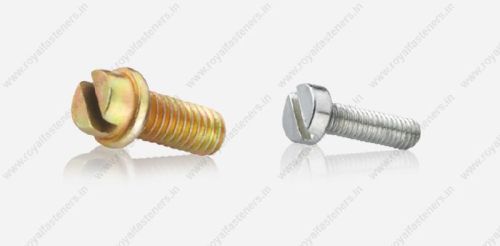 Slotted Head Screw