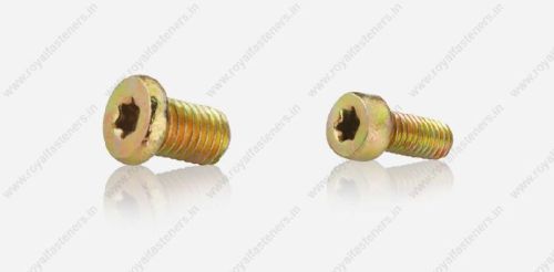 Torx Head Screw