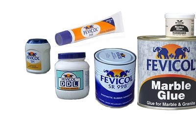 Fevicol