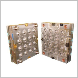 Multi Cavity Mold