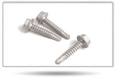 Screws, Thread Type : Full Threaded