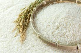 Rice Grain