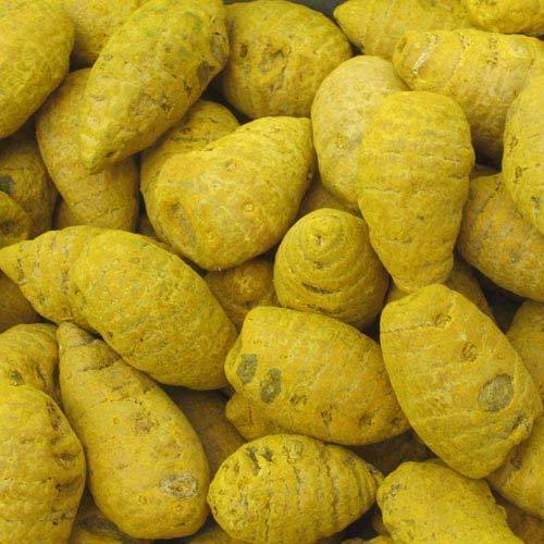 Turmeric Bulbs, For Healthcares, Pharmaceuticals, Packaging Type : Packed In Plastic Bags