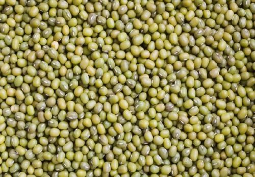 Whole Moong Dal, Moisture : 15% Max