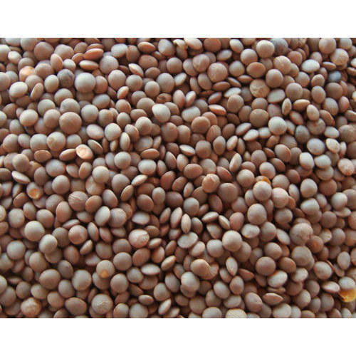 Whole Masoor Dal, Packaging Type : Plastic Packet, Moisture : 5%