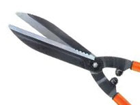 Hedge Shears