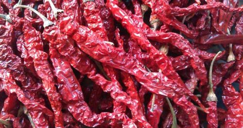 Dry red chilli, Packaging Type : Plastic Bag