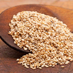 Sesame Oil Seeds, Packaging Type : 25kg Or 50 Kg Paper Bag, PP Bag