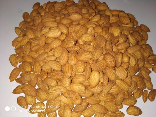 Calfornia Almond Fruits, Packaging Type : Mesh Bag Packing