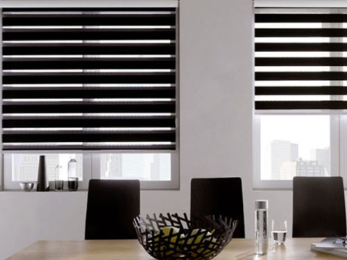 Zebra Blinds