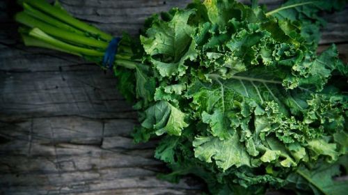 Fresh Kale Leaves