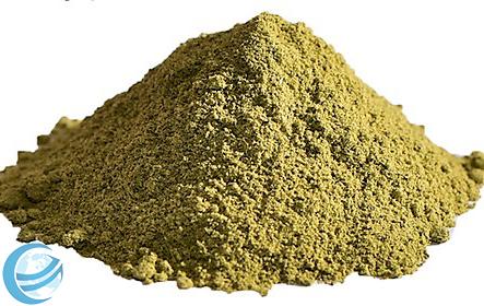 Coriander Leaves Powder