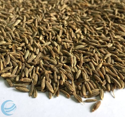 Ceeden Spices Cumin Seeds, Packaging Type : 30kg, 50kg