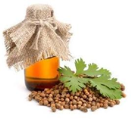 Coriander Seed Oil, Purity : 97.90%