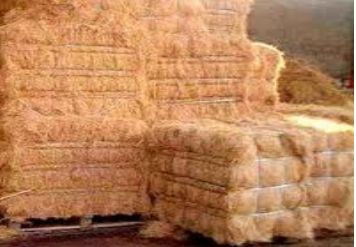 Coconut Coir Fiber, For Home Furniture