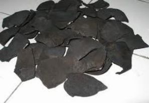 Coconut Shell Charcoal