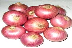 Red Onion, Shelf Life : 15-30days, 7-15days