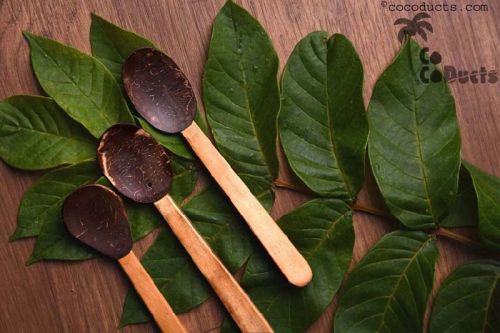 Coconut shell Coco Serving Spoons, Color : Brown