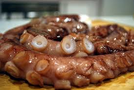 Live Octopus