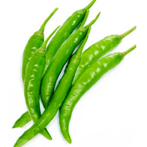 Organic Fresh Green Chili, For Cooking, Feature : Freshness, High Nutrition Value