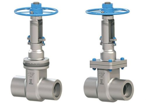 Forged Steel Gate Valve
