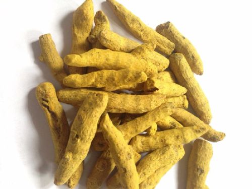 Turmeric Curcumin, Style : Dried