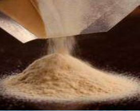 Malt Extract Powder, Purity : 99%, Packaging Type : Light Brown