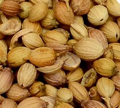 Scooter Quality Coriander Seeds