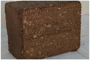 Coco Peat Bales