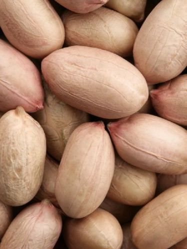 Peanut, Feature : No Preservatives, No Artificial Flavour