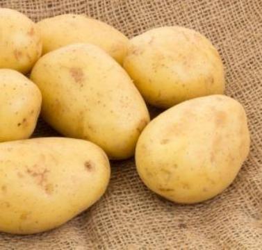 Potato, Style : Fresh