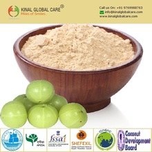 Phyllanthus Emblica Fruit Extract, For Pharmaceutical Raw Materials