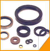 Automotive Oil Seals