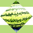 Watermelon, Country of Origin : India
