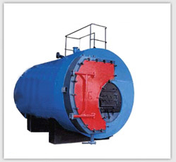 Solid Fuel Fired Steam Boilers