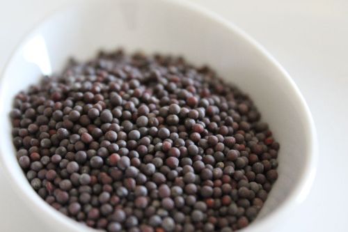 Organic Black Mustard Seeds