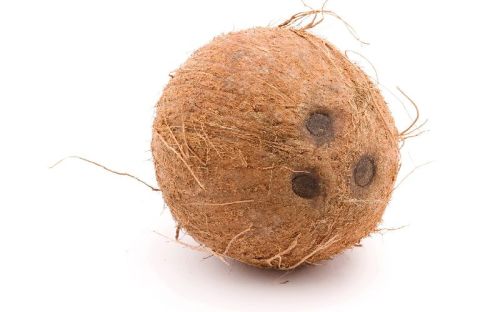 Coconut, For Medicines, Pooja, Food