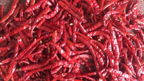 Organic Dry Red Chili, For Food