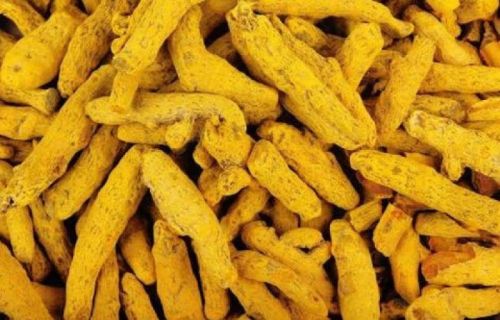 Organic Natural Turmeric Finger, Color : Orange Yellow