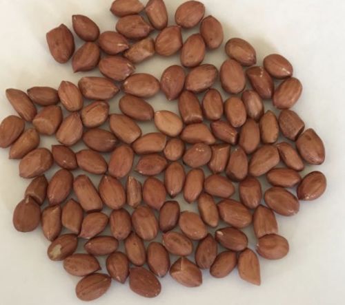 Organic Peanut Kernel, Feature : Good For Health