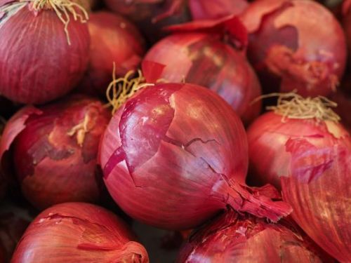 Organic Fresh Red Onion