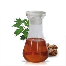 Angelica Root Oil